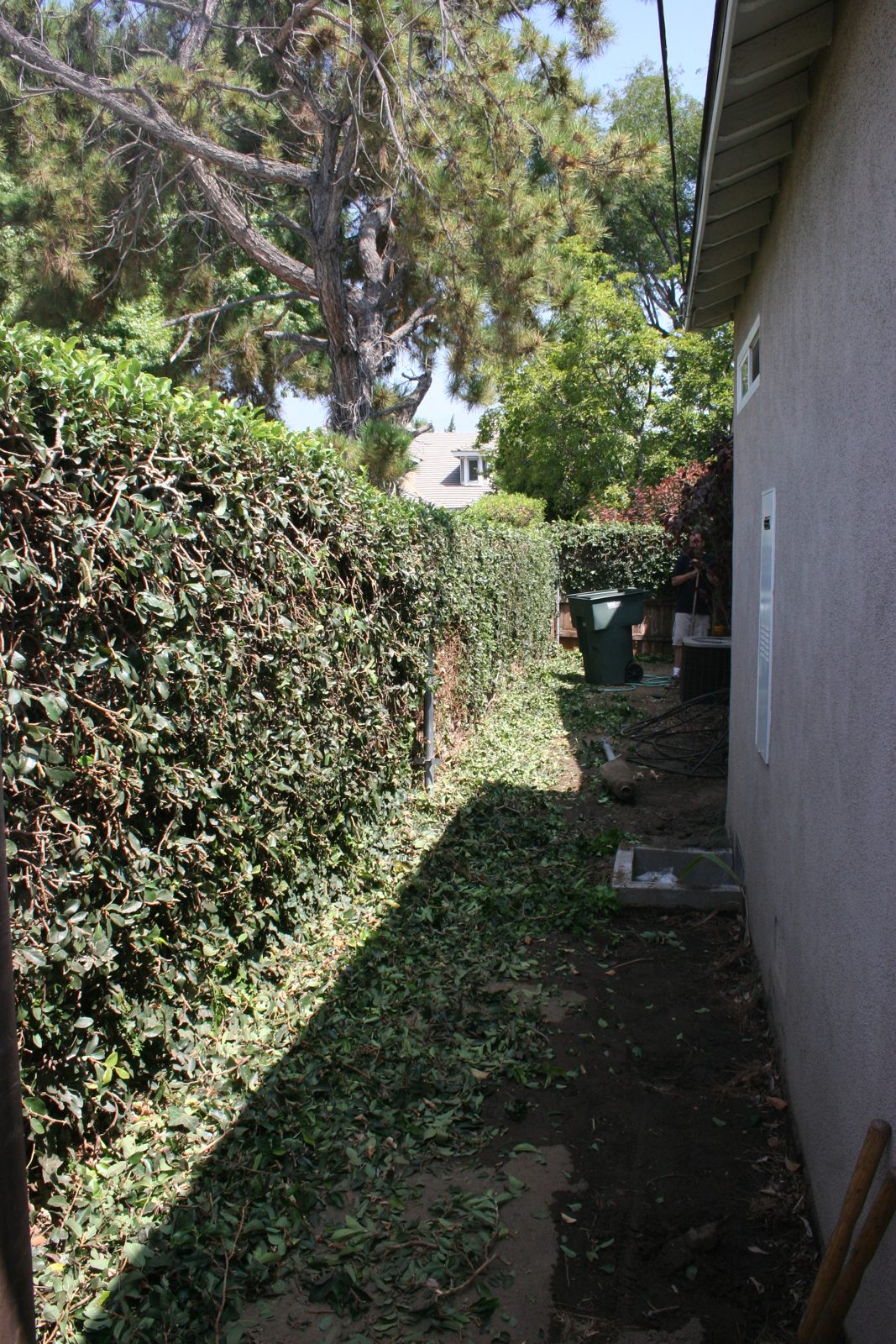 Step One - Clearing