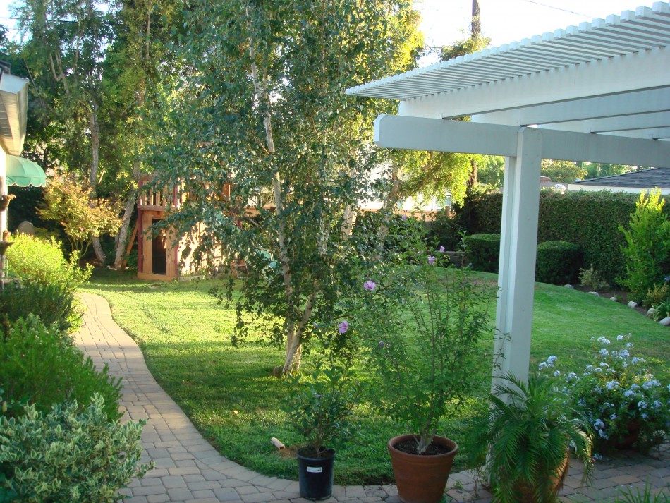 Backyard Pool Project